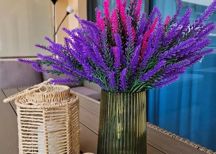 Summer Breeze Appartement *