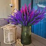 Summer Breeze Appartement *